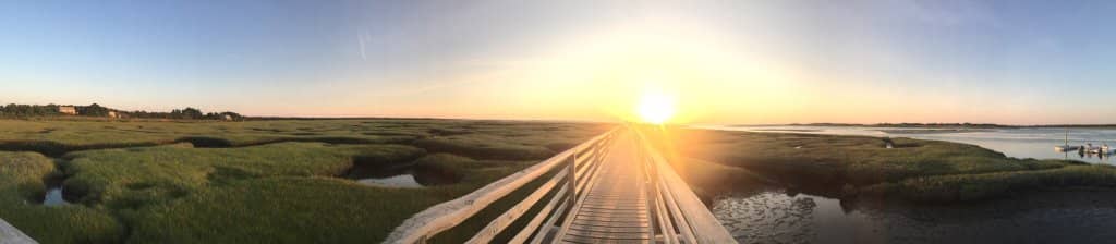 Low Tide Sandbar Exploration