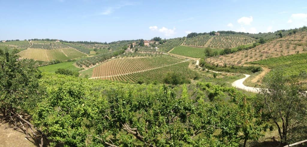 Chianti Classico Wine Tasting