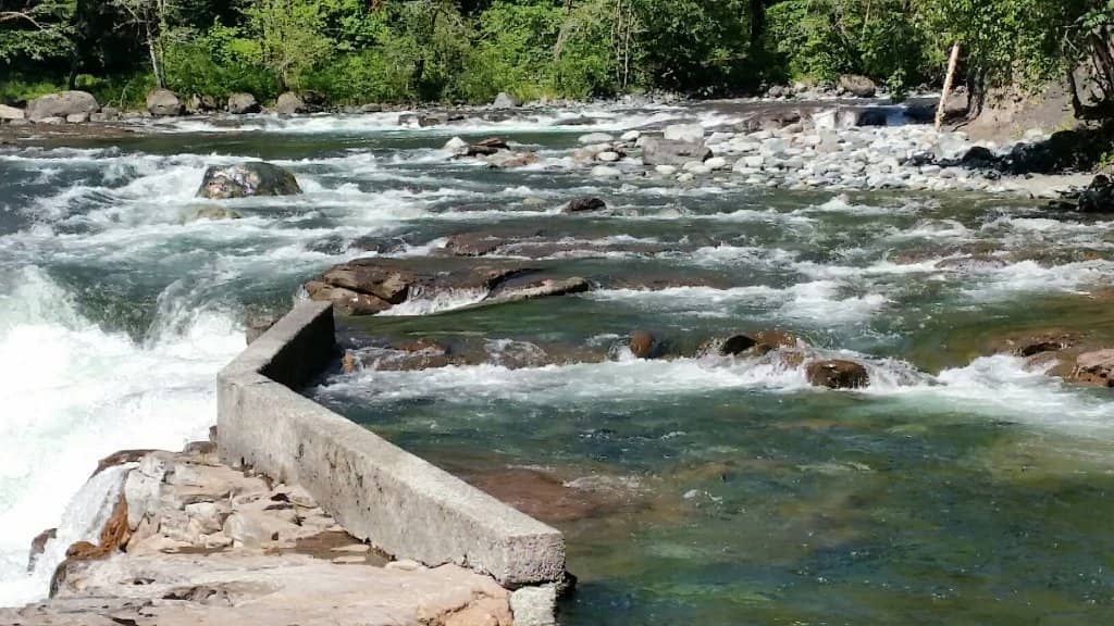Stamp Falls & Fish Ladder