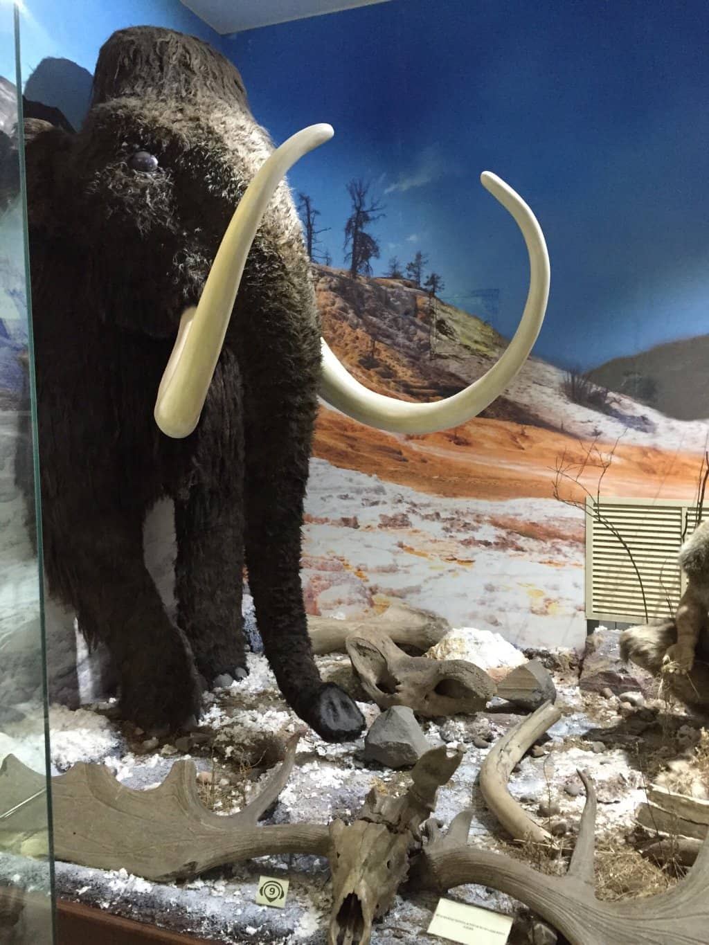 Live Tropical Butterfly Garden