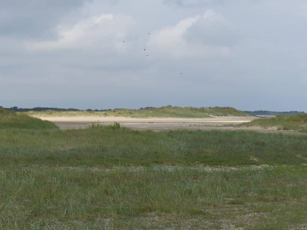 WWII Remnants
