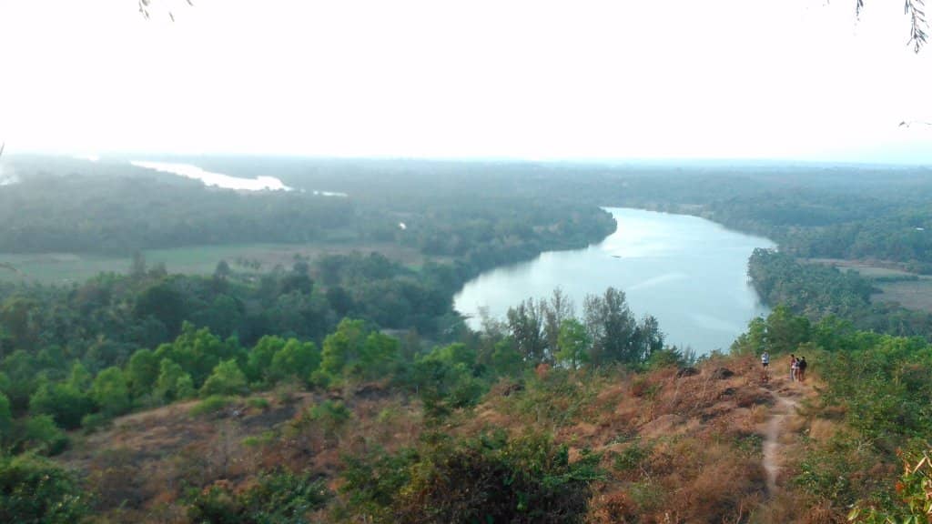 Serene Nature Walks