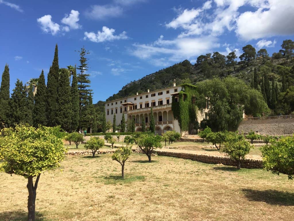 Olive Grove Path