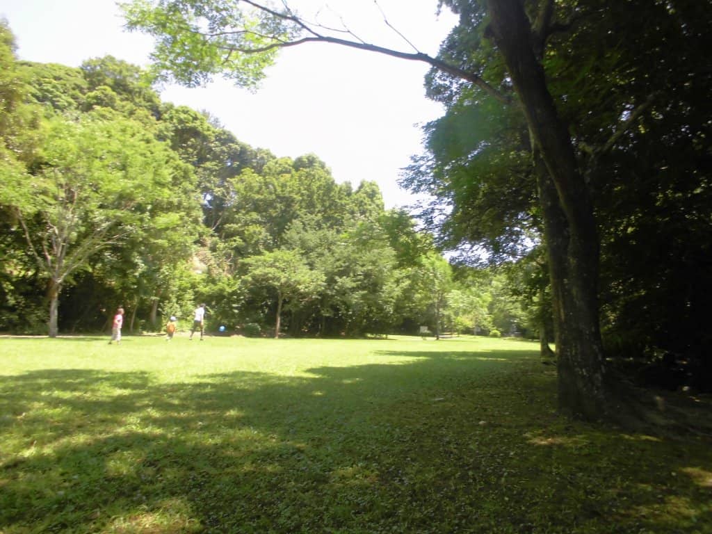 Expansive Lawns and Trees