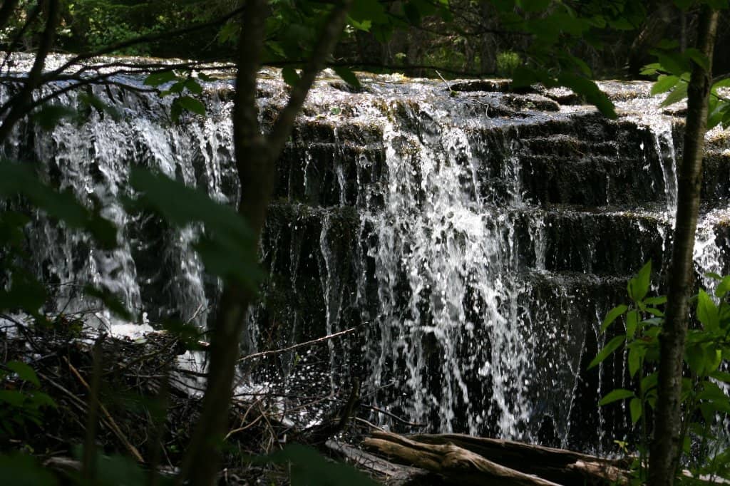 Walkable Falls