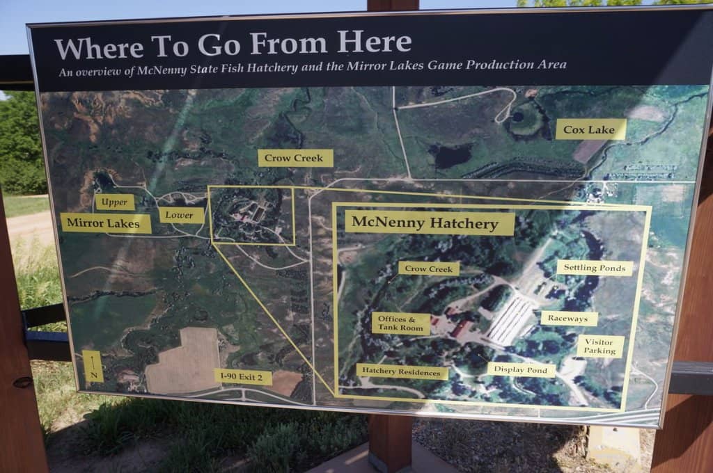 Stargazing at Mirror Lake