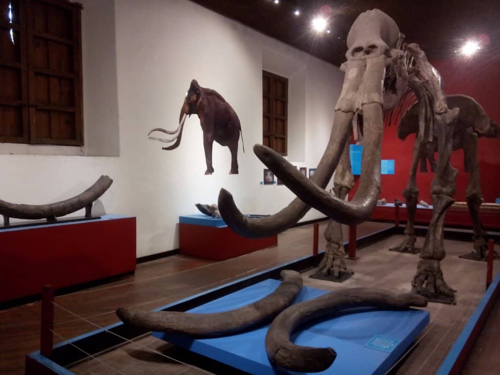 Jalisco's Rich History