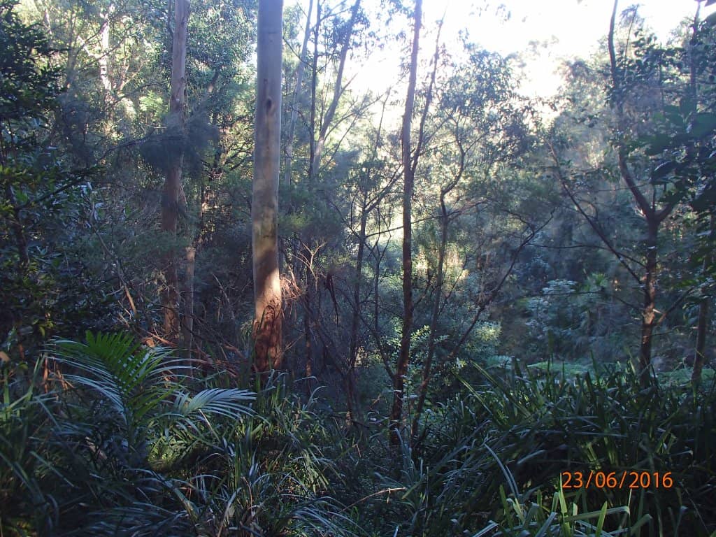 Vertical photo
