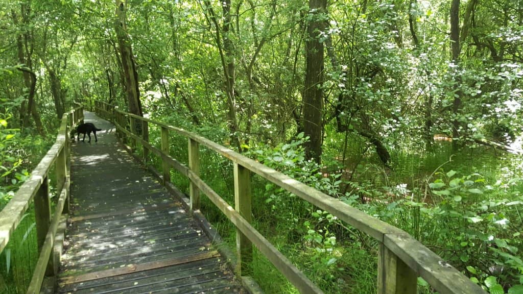 Adventure Play Area