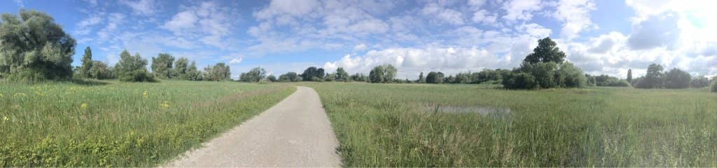 Birdwatching Paradise