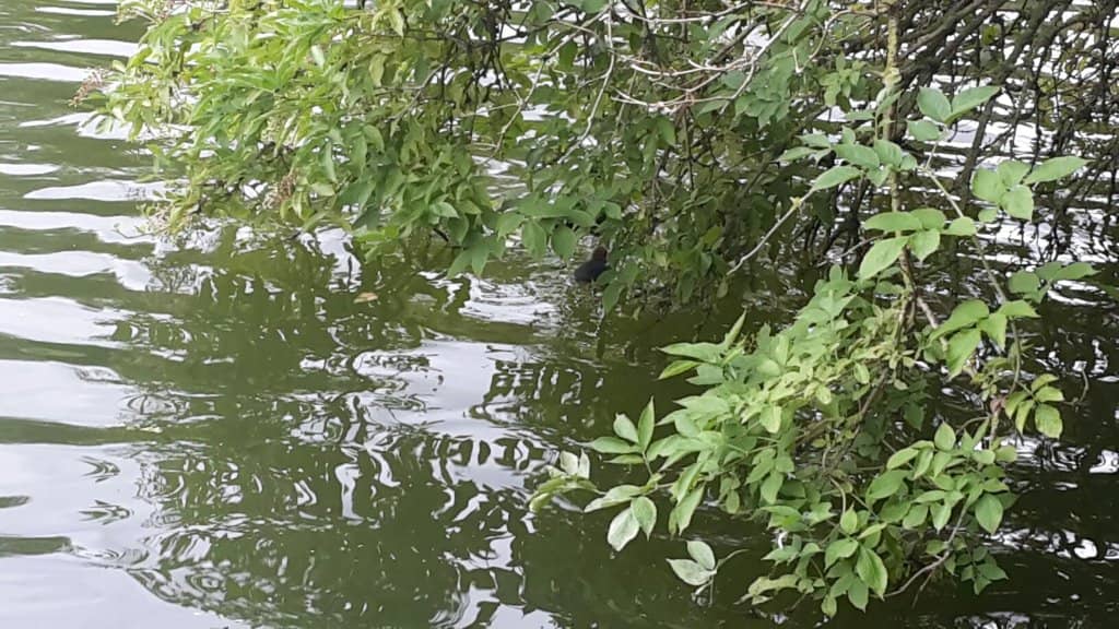 Charming Cafe by the Water