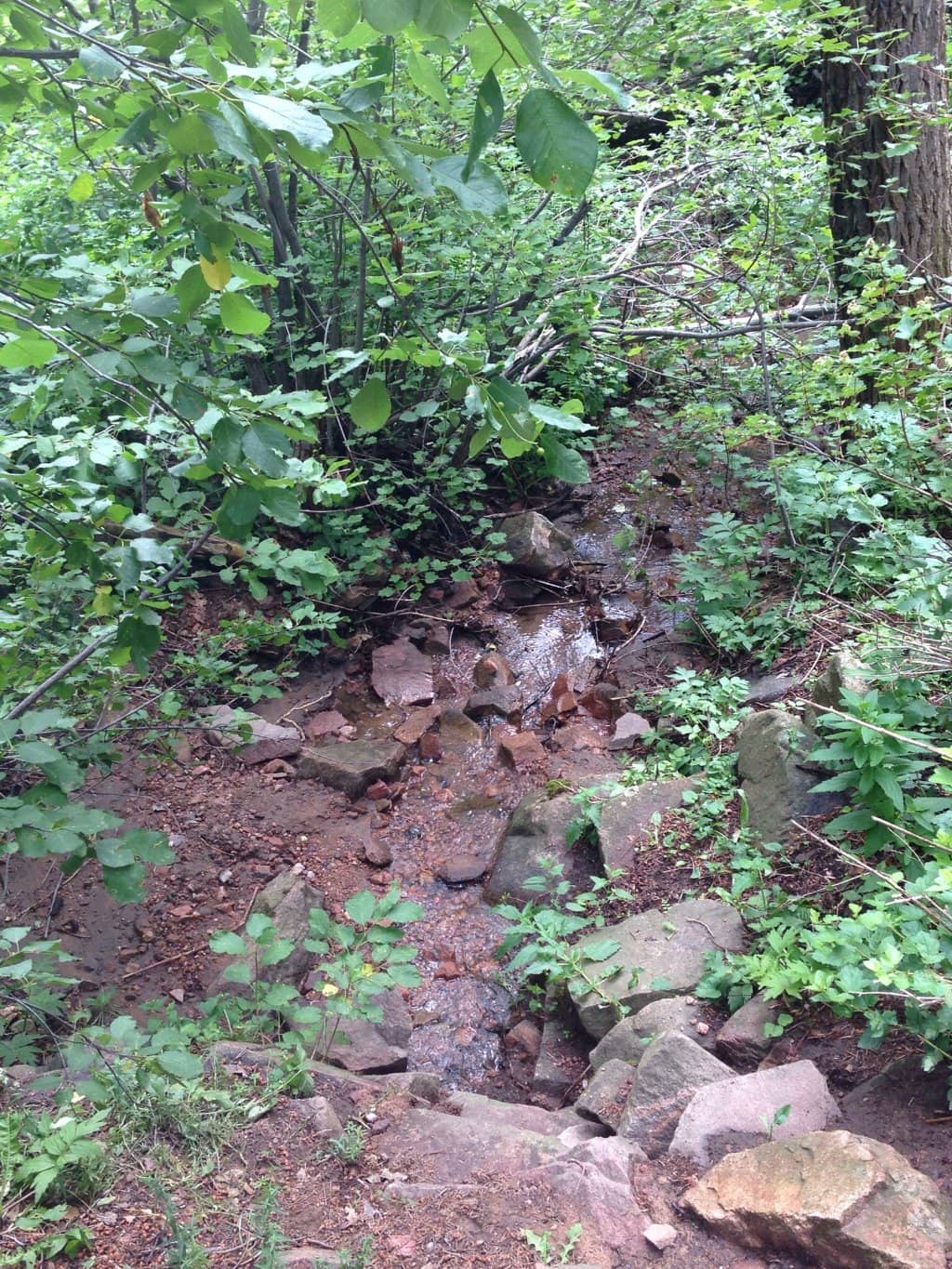 Orbital Trail Segment 5