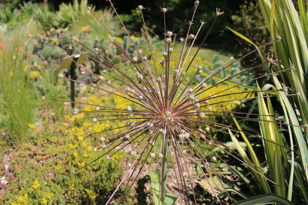 The Gardens