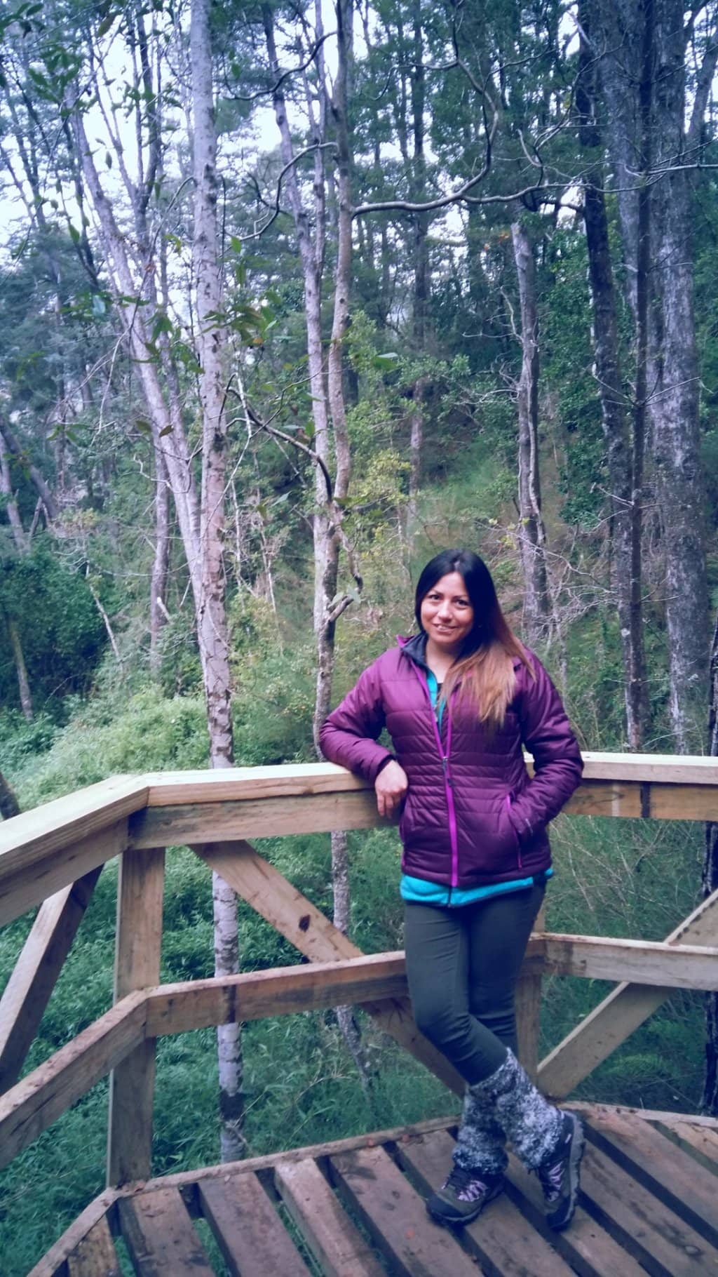 Accessible Nature