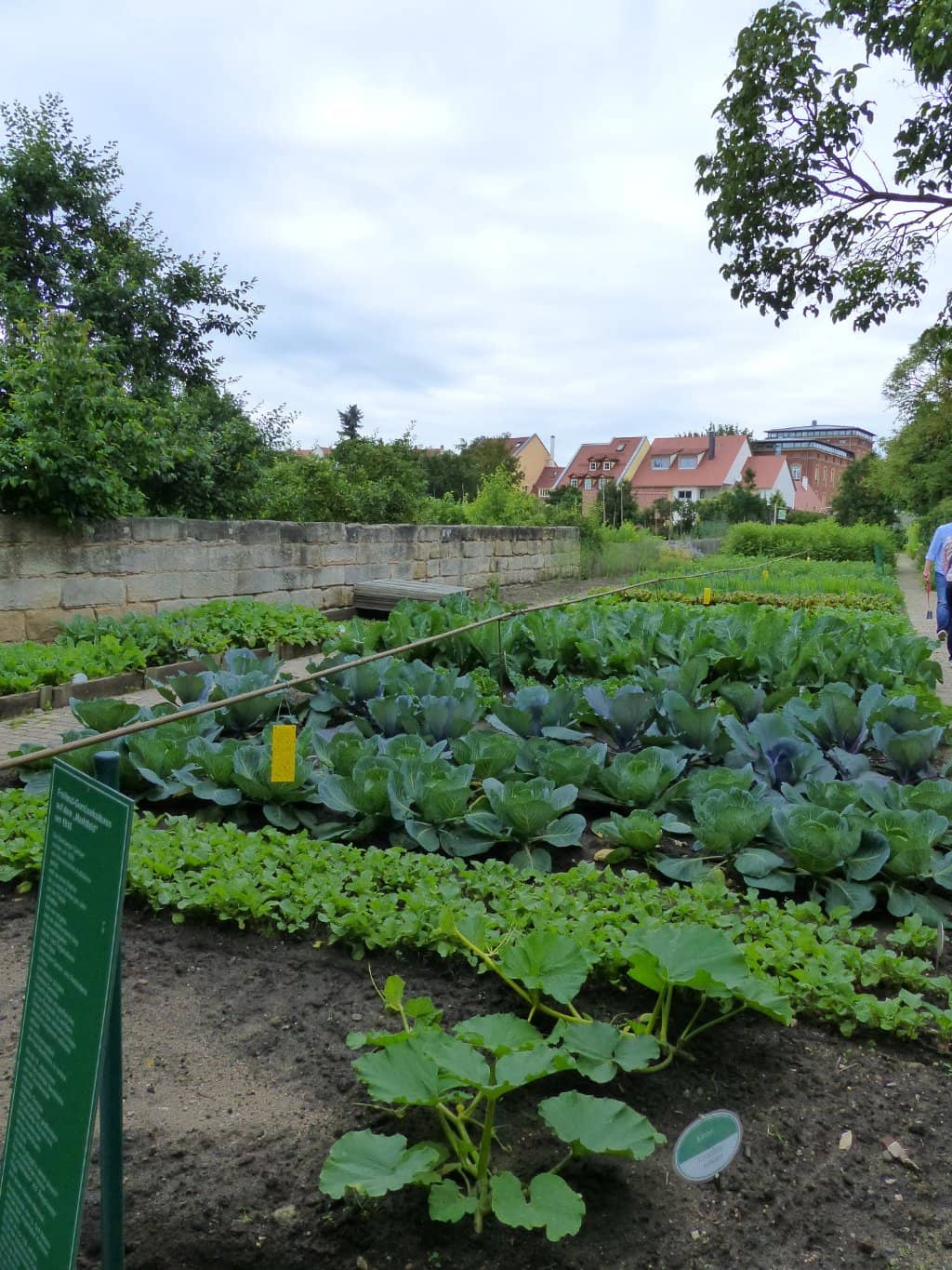 Original Tools and Utensils