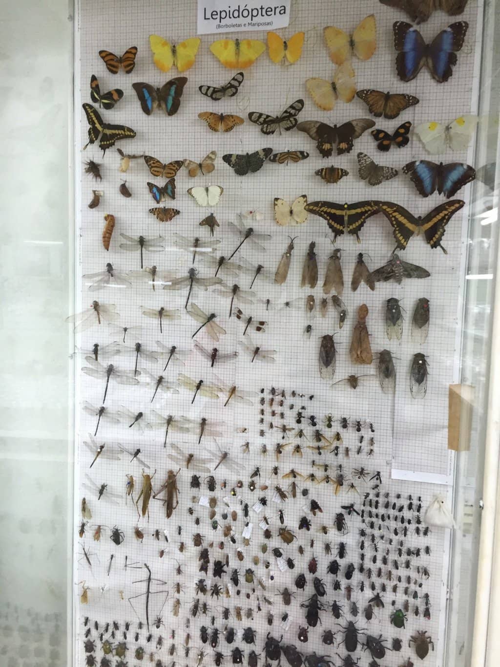 Biology Exhibits