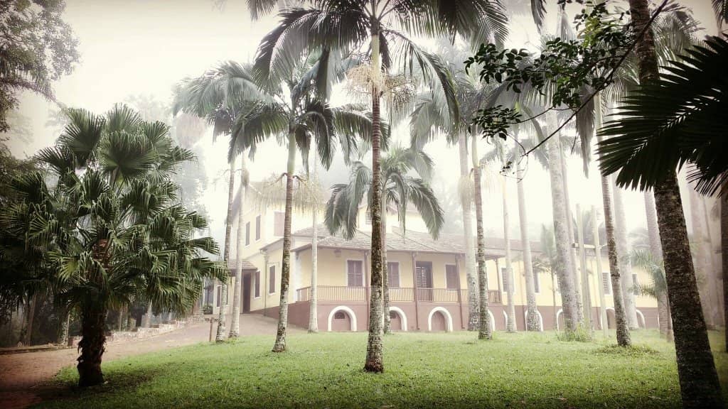 Atlantic Forest Representation