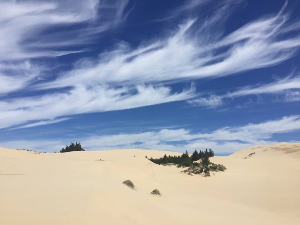 Dune Buggy Adventures