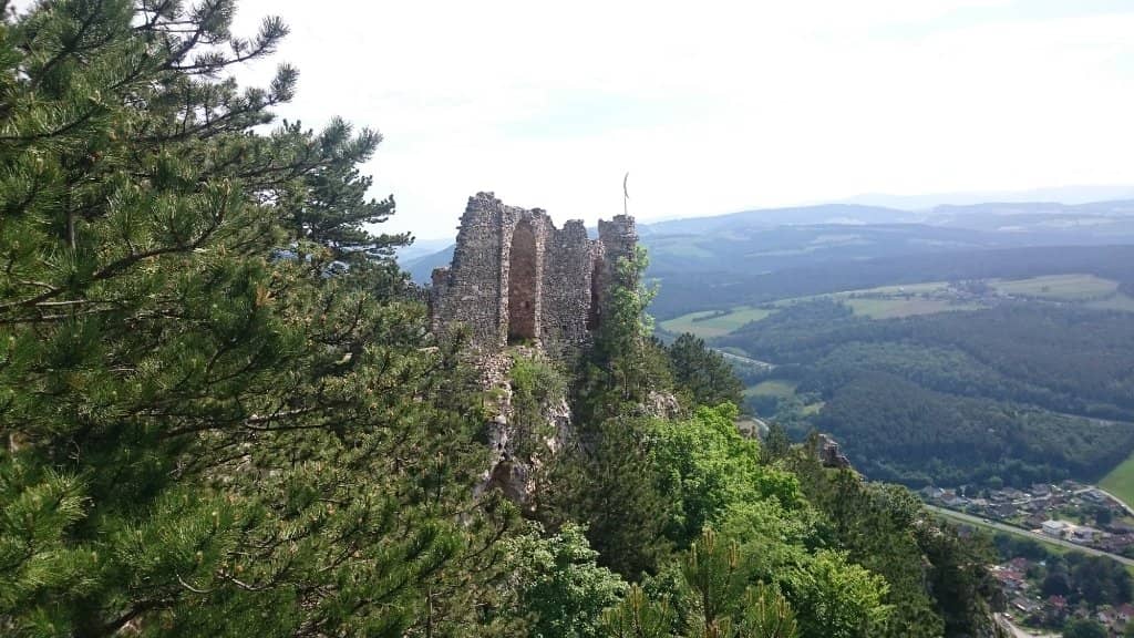 Vertical photo