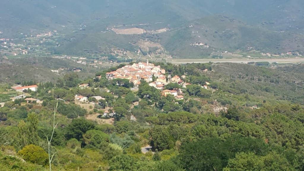 Local Forest Experience