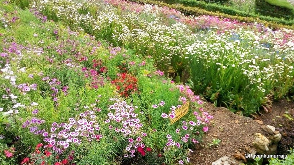 Scenic Photography Spots