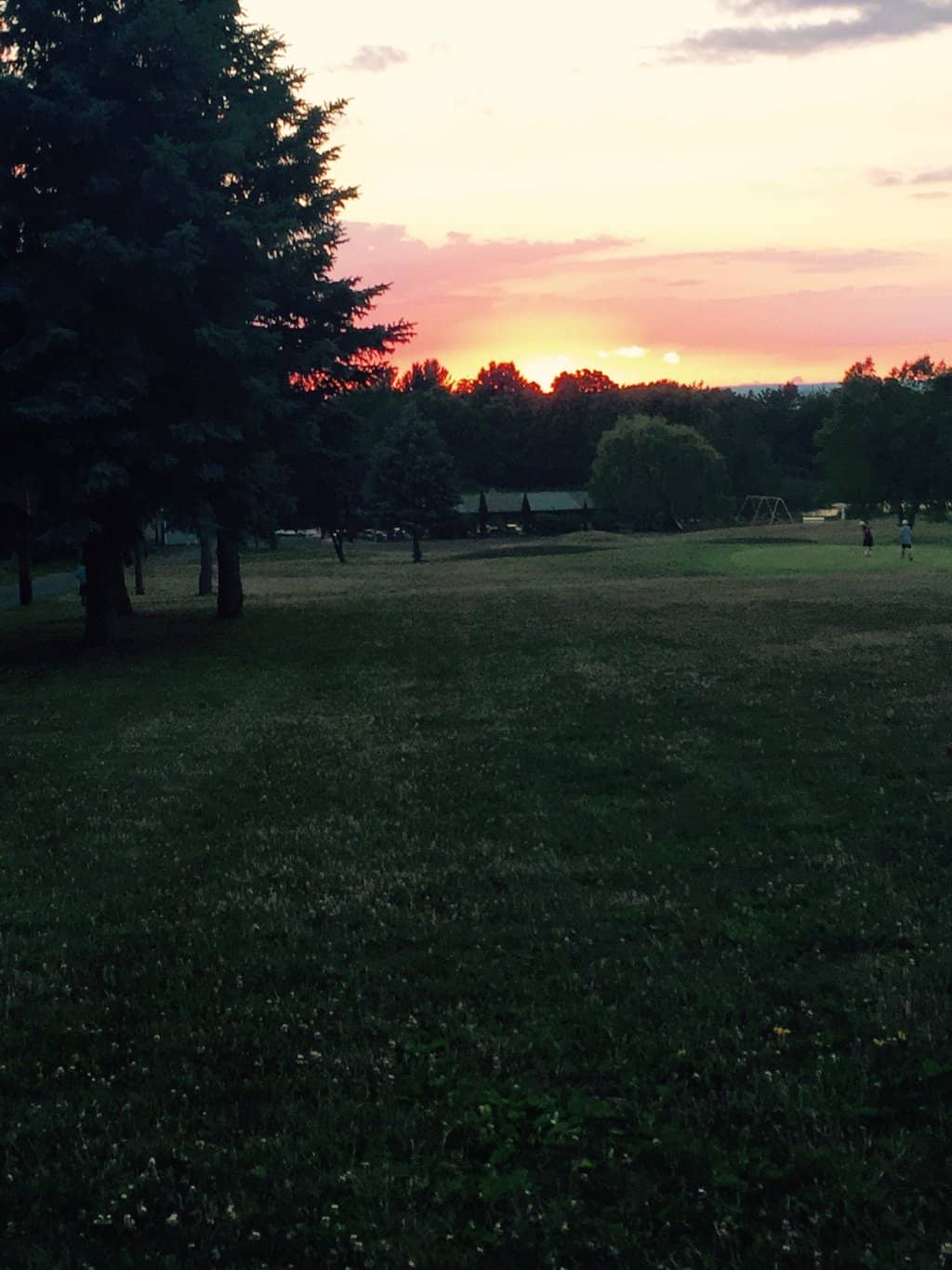 Summer Concerts with a View