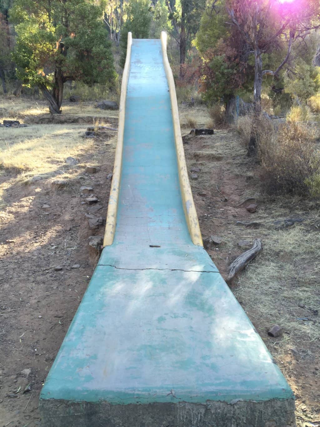 Andean Flora & Fauna