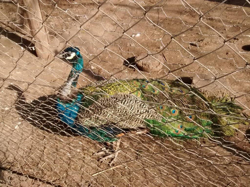 Hands-On Creative Workshops