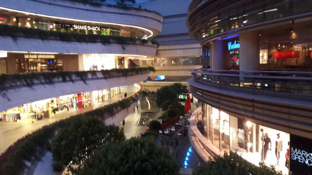 The Beloved 'Kanyon Kedi'