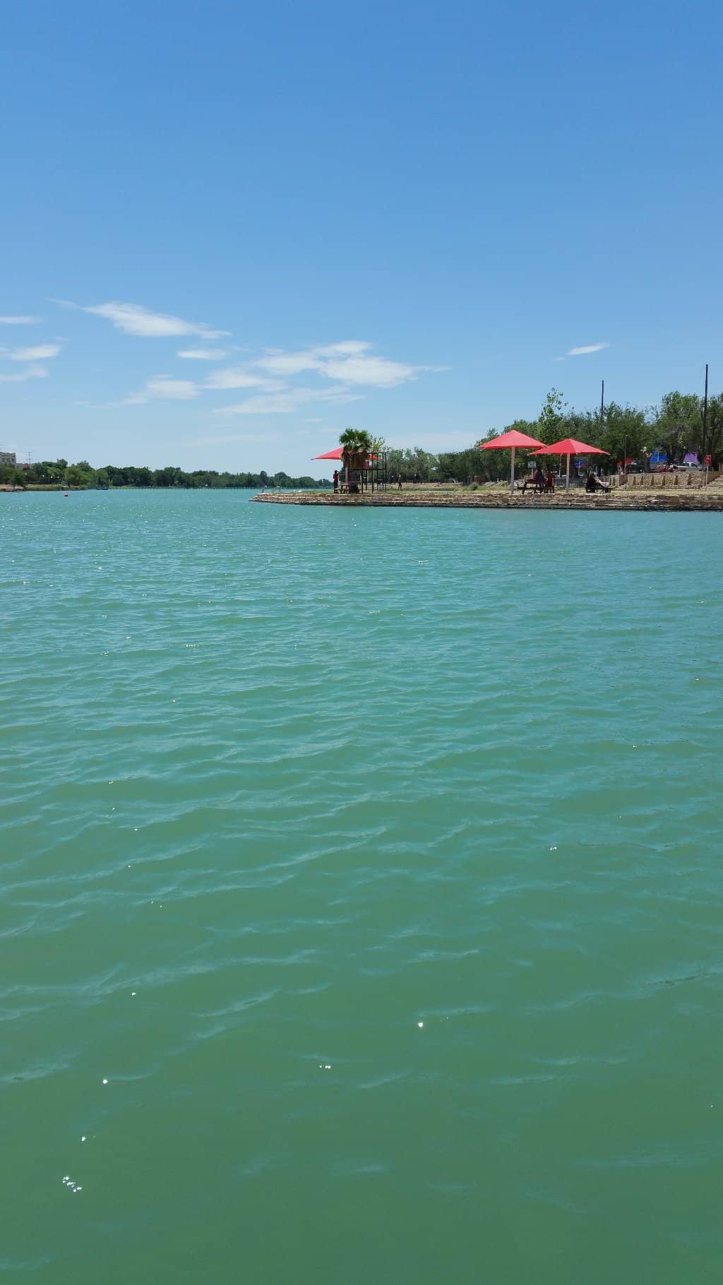 Dog Park by the Water