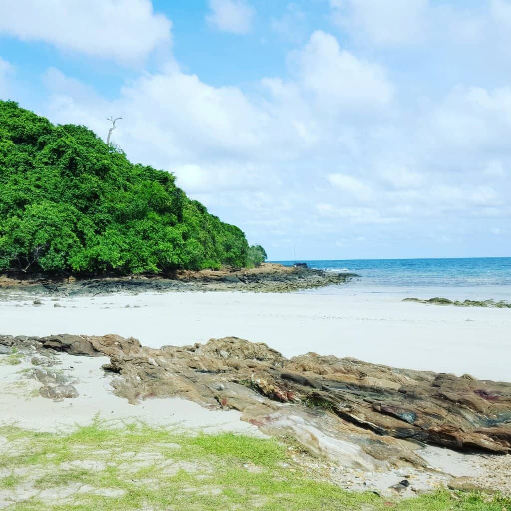 Vibrant Coral Reefs