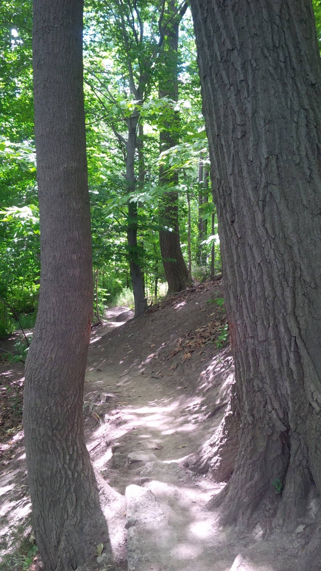 Vertical photo