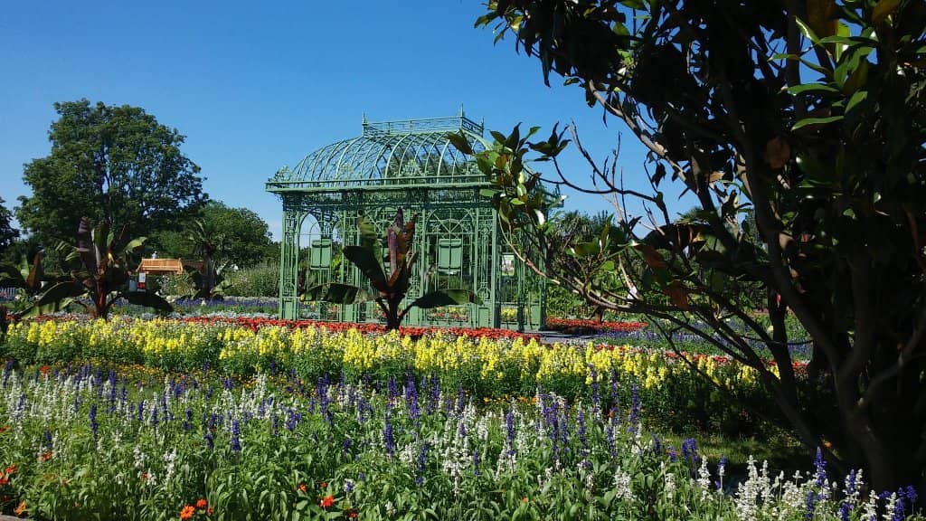 Winter Christmas Market