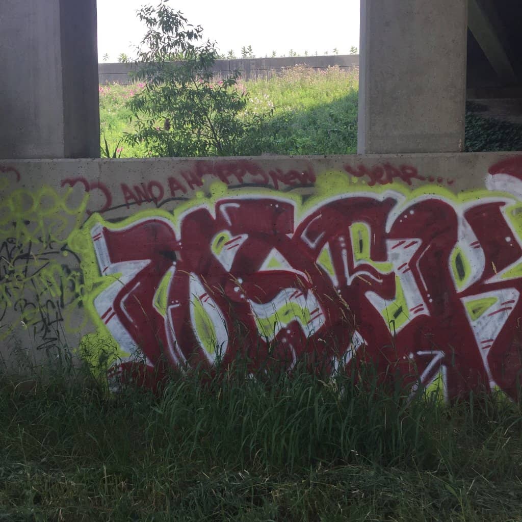 Charming Village of South Haven