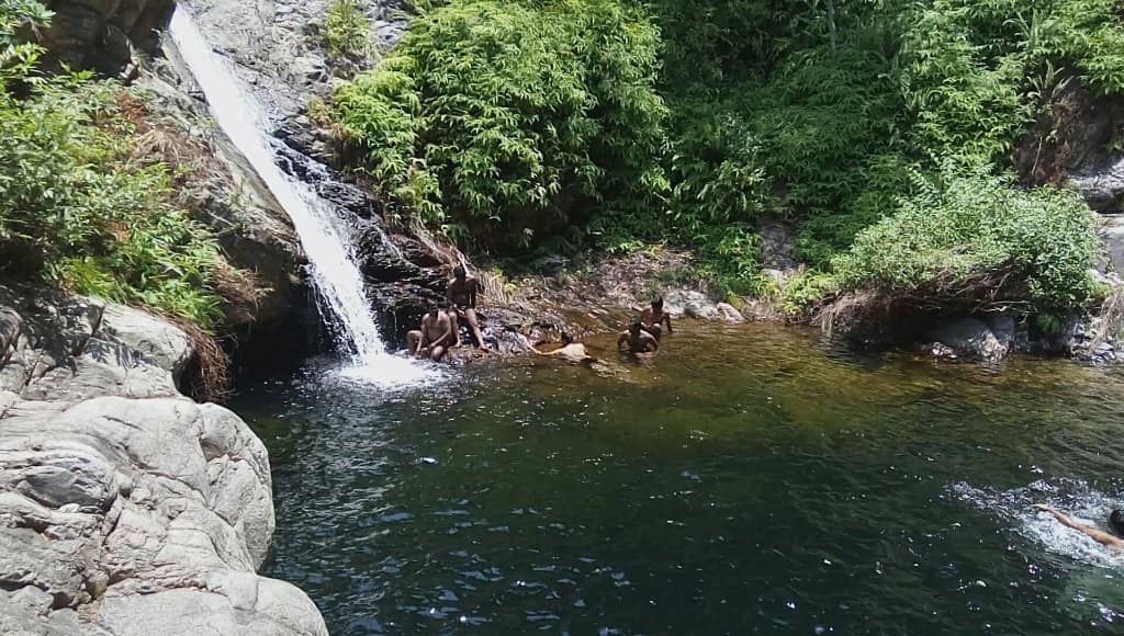 Vertical photo