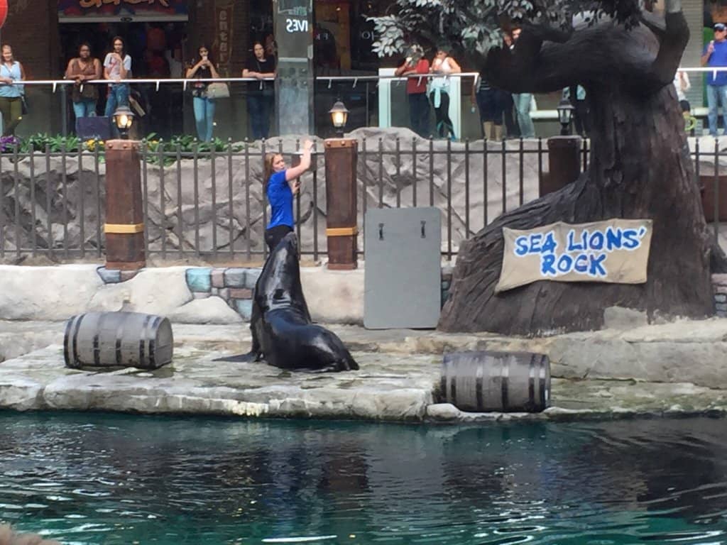 Penguin Exhibit