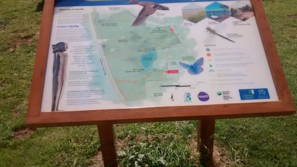 Sand Dune Trails
