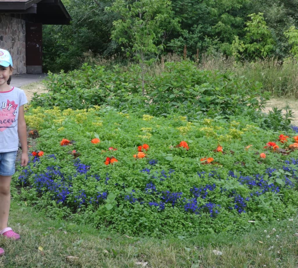Humber River Trails