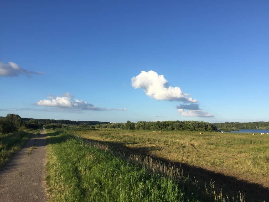 Bird Observation Towers