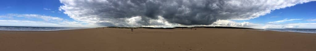 Pine Woods & Dunes