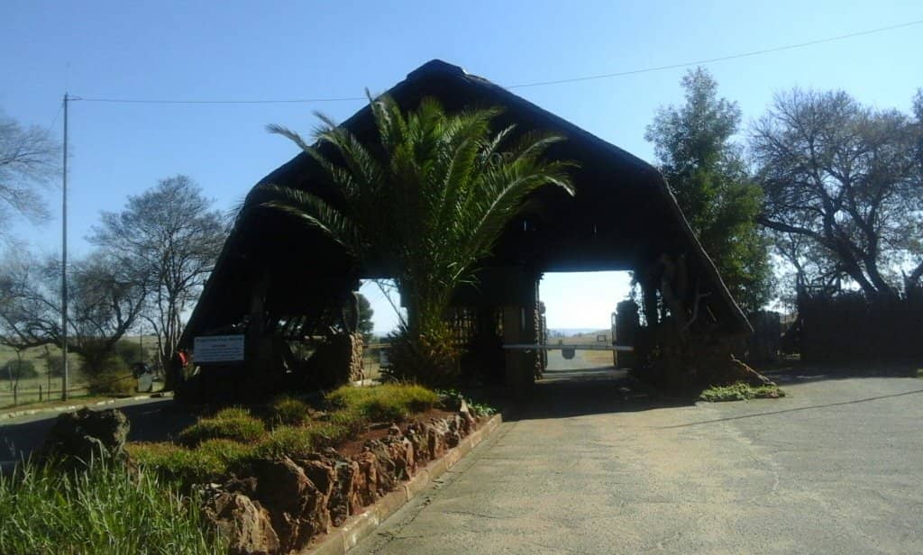 Horseback Safari Adventure