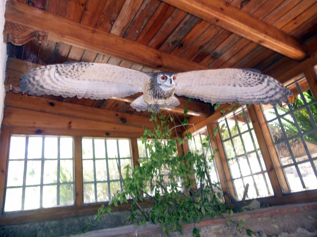 Historic Mill & Ethnological Museum