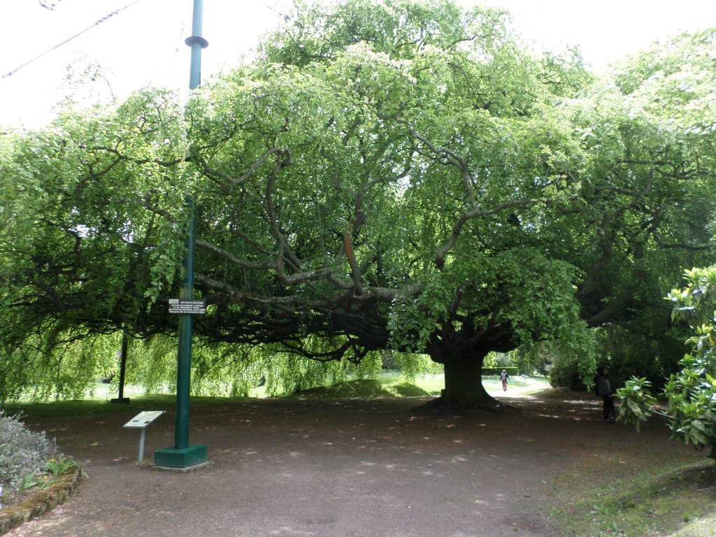 Peaceful Picnic Spots