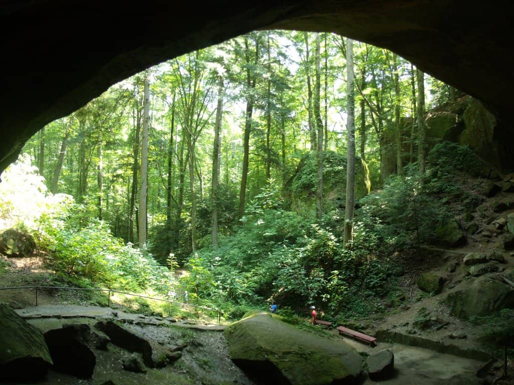 Glow Worm Cave