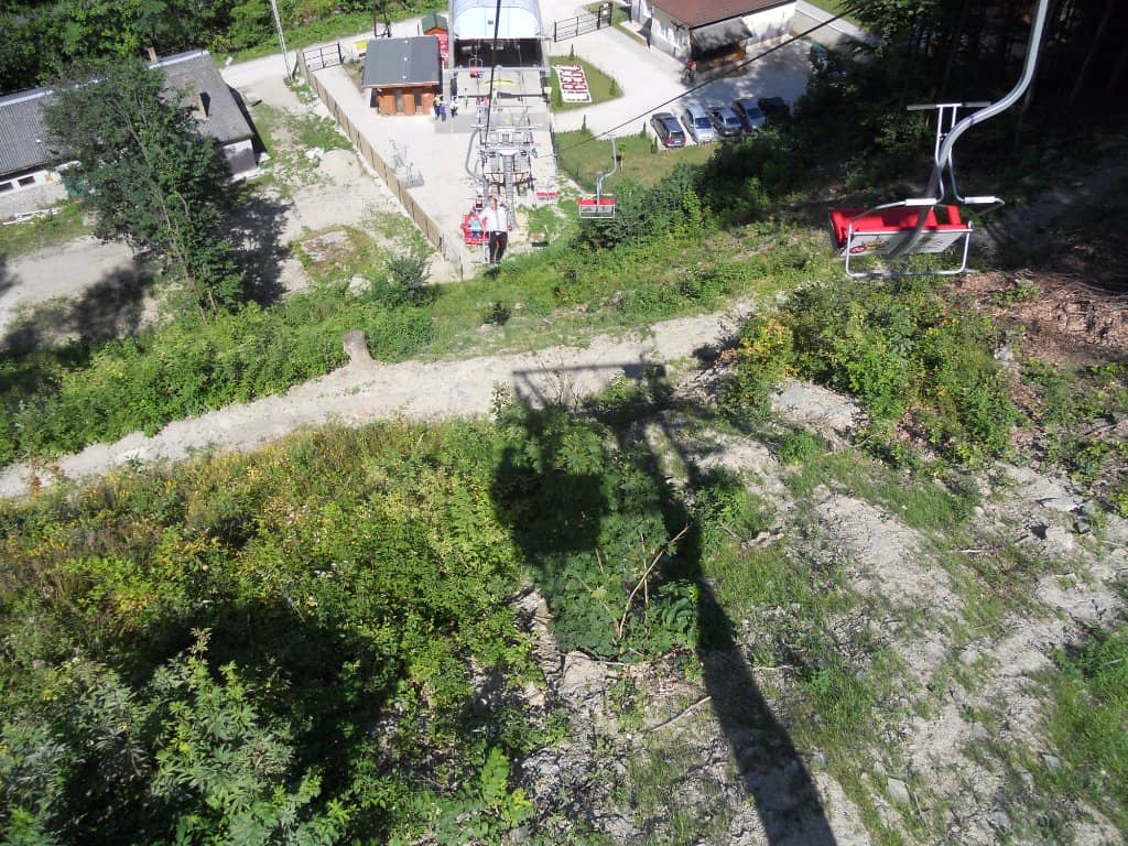 Vertical photo