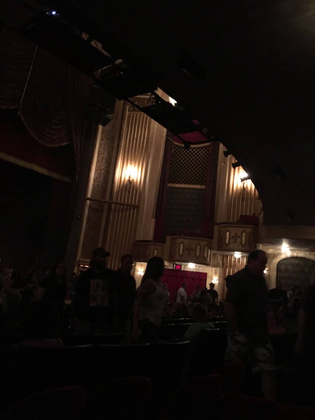 Live Musical Performances