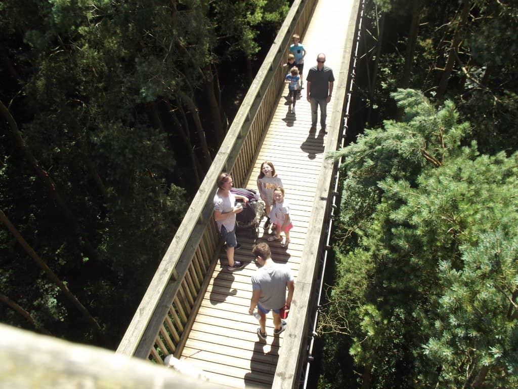 Wellbeing Trail