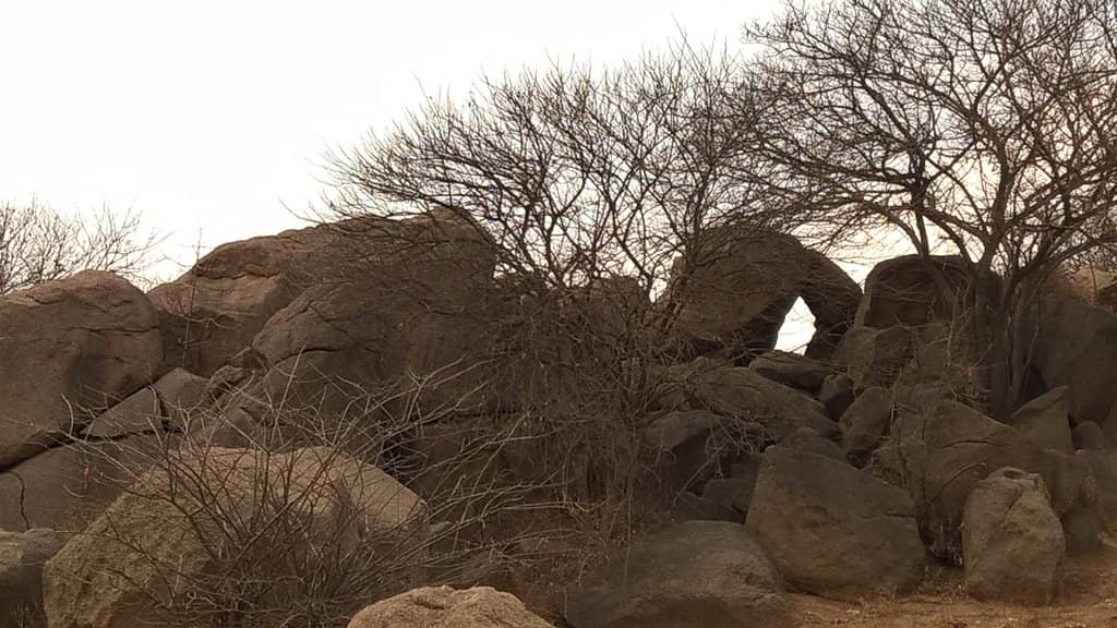 Panoramic City Views