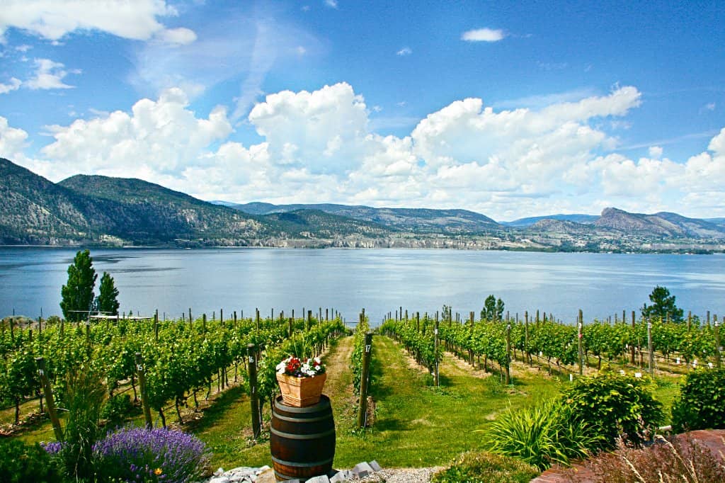 Tightrope Winery