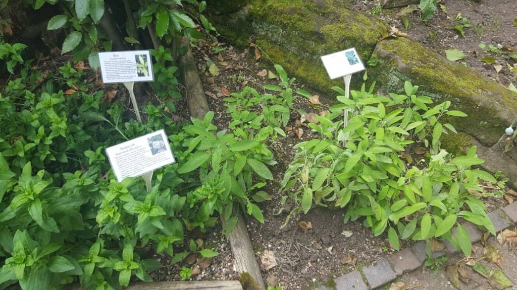 Working Farm Animals